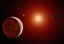 Huge plantes surrounding small stars
