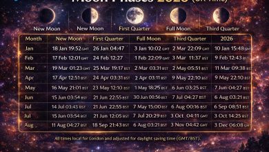 Moon Cycles