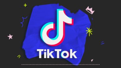 The content creators with the most TikTok followers
