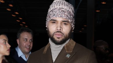 Oop! Some Social Media Users Speculate If Diamond Brown May Have Revealed The Gender Of Chris Brown’s Alleged “Baby On The Way”