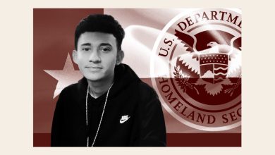 ‘Homeland’ Confirms ICE Agent Fatally Shot US Citizen…