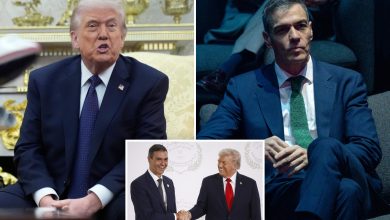 Trump vows to cut off ‘all trade’ with Spain over lack of support on Iran attack