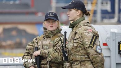 Donald Trump won’t take Greenland by force, Lord Mandelson says