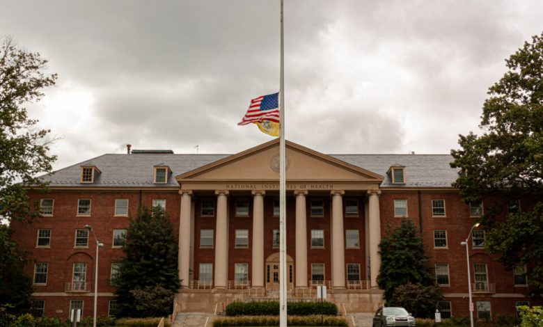 The NIH has lost its scientific integrity. So we left