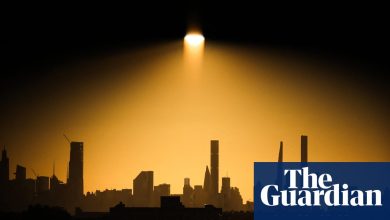 ‘A feedback loop with no brake’: how an AI doomsday report shook US markets