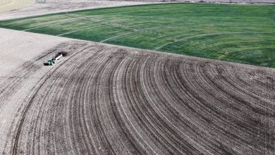 Iran war-induced fertilizer shortage threatens Republicans in farm states ahead of midterms