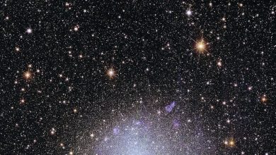 ‘Project Hail Mary’ explores unique forms of life in space – 5 essential reads on searching for aliens that look nothing like life on Earth