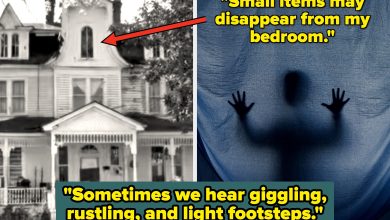 “I Was Taken Up To A Spaceship”: People Are Revealing The Wildest Things They’ve Seen With Their Own Two Eyeballs, And I’m Both Terrified And Fascinated