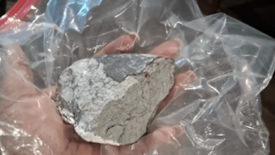 Houston woman claims suspected meteorite smashed into house after blast rattles residents