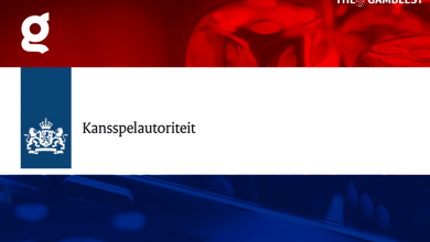 Dutch Gaming Authority fines popular streamer Nedergaming for promoting illegal casino streams