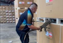 Watch: Large lizard found napping between pallets of bar fridges