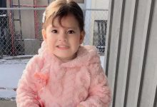 Elvis Tipan Echeverria: 2-year-old taken into ICE custody with father in Minnesota and flown to Texas, lawyer says