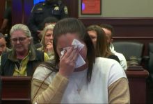 Prosecutor apologizes for fictitious cases cited by AI in Supreme Court brief