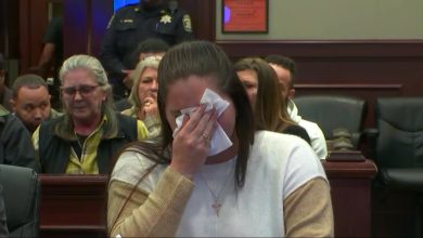 Prosecutor apologizes for fictitious cases cited by AI in Supreme Court brief