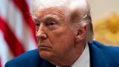 Trump Directs Officials to Pay All D.H.S. Employees