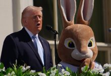 The White House Account Did Nooot Like People Pointing Out That Trump Hadn’t Been Seen In Public In A Few Days