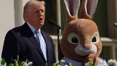 The White House Account Did Nooot Like People Pointing Out That Trump Hadn’t Been Seen In Public In A Few Days