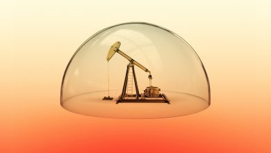 “Economic Civil War”: States Push Laws to Shield Oil and Gas Companies From Accountability