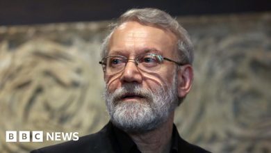 Iranian security chief Ali Larijani killed in air strike