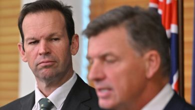 Grattan on Friday: Taylor and Canavan are chalk and cheese – and that’s a problem for Taylor