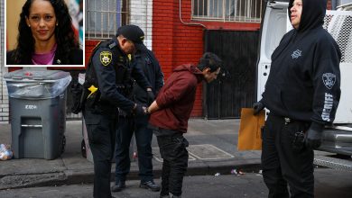 San Francisco reports lowest crime rates in 2 decades — thanks to anti-woke DA Brooke Jenkins