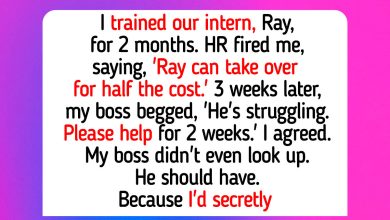 I Trained My Replacement and Got Fired, Now My Boss Is Begging for Me to Return