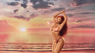 Megan Thee Stallion Releases Second Hot Girl Summer Swimwear Collection for Men, Women & Pets