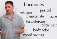 English Vocabulary for Puberty & Body Changes