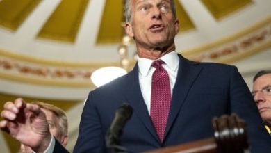 Thune: Senate may vote next week on ICE, Border Patrol funding