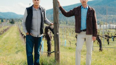 A Family Feud at an Oregon Winery Turns to Vinegar Over A.I. Slop