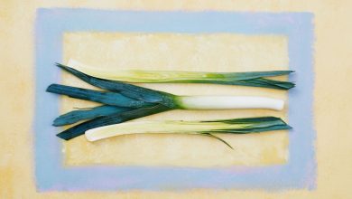 We’re Going to Stop Trying to Make ‘Allium’ Happen