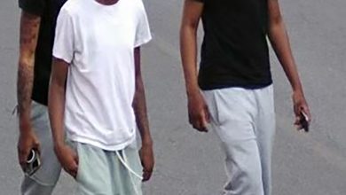 4 goons steal car, mow down 72-year-old using walker in NYC Lowe’s parking lot: cops