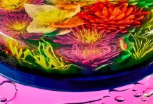 These Transportive Jellies Are So Much More Than Dessert