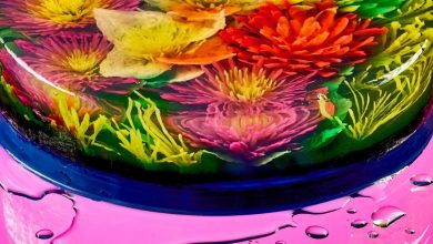 These Transportive Jellies Are So Much More Than Dessert