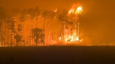 4/22: CBS Evening News