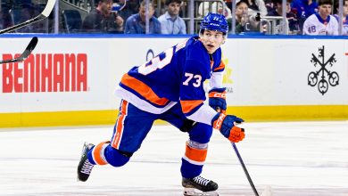 What I learned from going to watch top Islanders prospects in the AHL playoffs