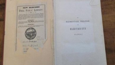 World Book Day: Five times library books were over 100 years overdue