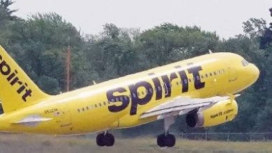 Trump administration contemplates Spirit Airlines bailout