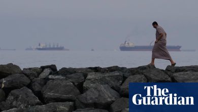 US officials claim Iran unable to find mines it laid in strait of Hormuz, report says