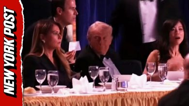Gunman opens fire at White House Correspondents’ Dinner – Trump rushed out