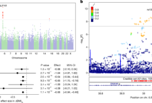 Genetic predictors of GLP1 receptor agonist weight loss and side effects