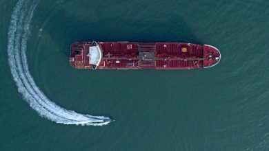 Oil jumps above $117 as Trump’s Strait of Hormuz deadline approaches