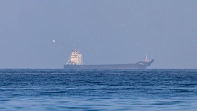 Second US fighter jet downed by Strait of Hormuz as search for F-15E crew member in Iran continues