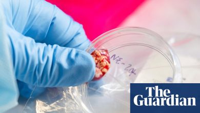 CDC temporarily halts testing for several infectious diseases amid staffing shortages