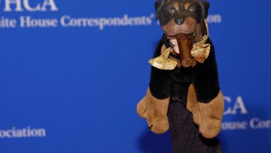 Watch Triumph the Insult Comic Dog Roast Pete Hegseth, Karoline Leavitt at White House Correspondents’ Dinner