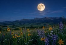 Moon Cycles in May 2026