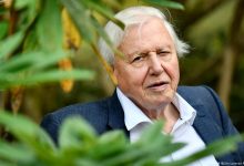 Celebrated naturalist David Attenborough turns 100