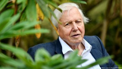 Celebrated naturalist David Attenborough turns 100