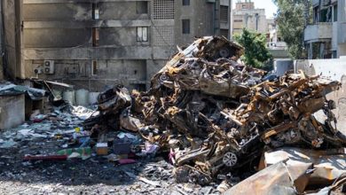 The Global Epidemic of Violence in an Age of Impunity