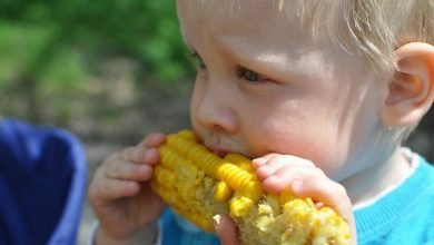 Corn Slipping Back Early on Wednesday